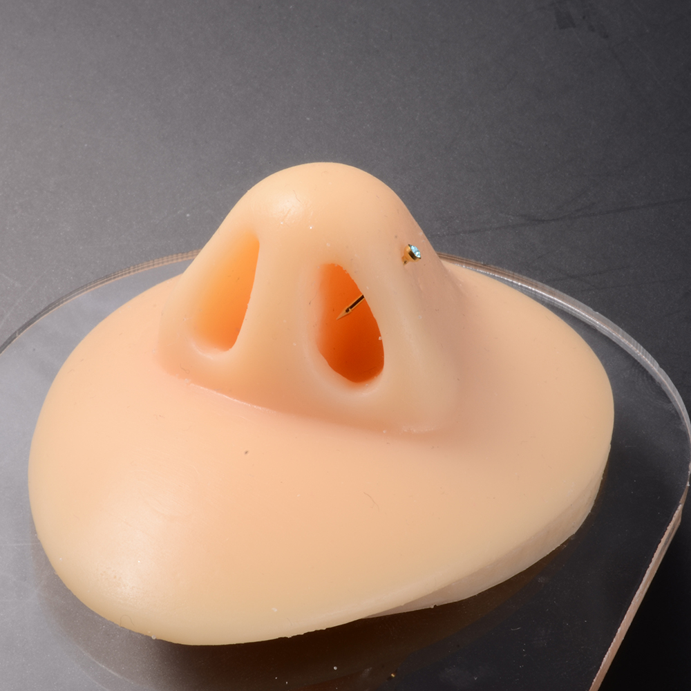 1 ユニット使い捨て安全滅菌ピアスユニット宝石鼻スタッドピア - Body Jewelry Factory のレビューと価格